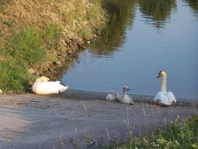 hafen2009_20100515_1454339186
