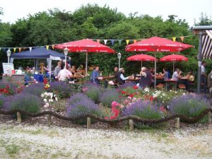 hafen2009_20100515_1984613995