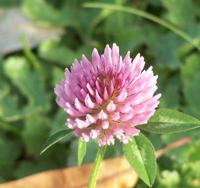hafen_im_herbst_20100702_1148937633