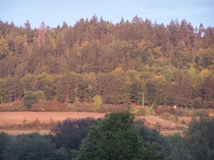 hafen_im_herbst_20100702_1319556968