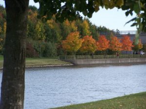 hafen_im_herbst_20100702_2044096114