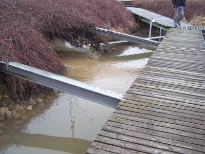 schlamm_20100515_1140189908