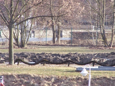 schlamm_20100515_1643758082