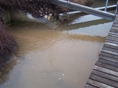 schlamm_20100515_1774620000