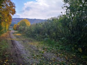 1870f44c-8e28-4d75-984b-22511d55b9b3