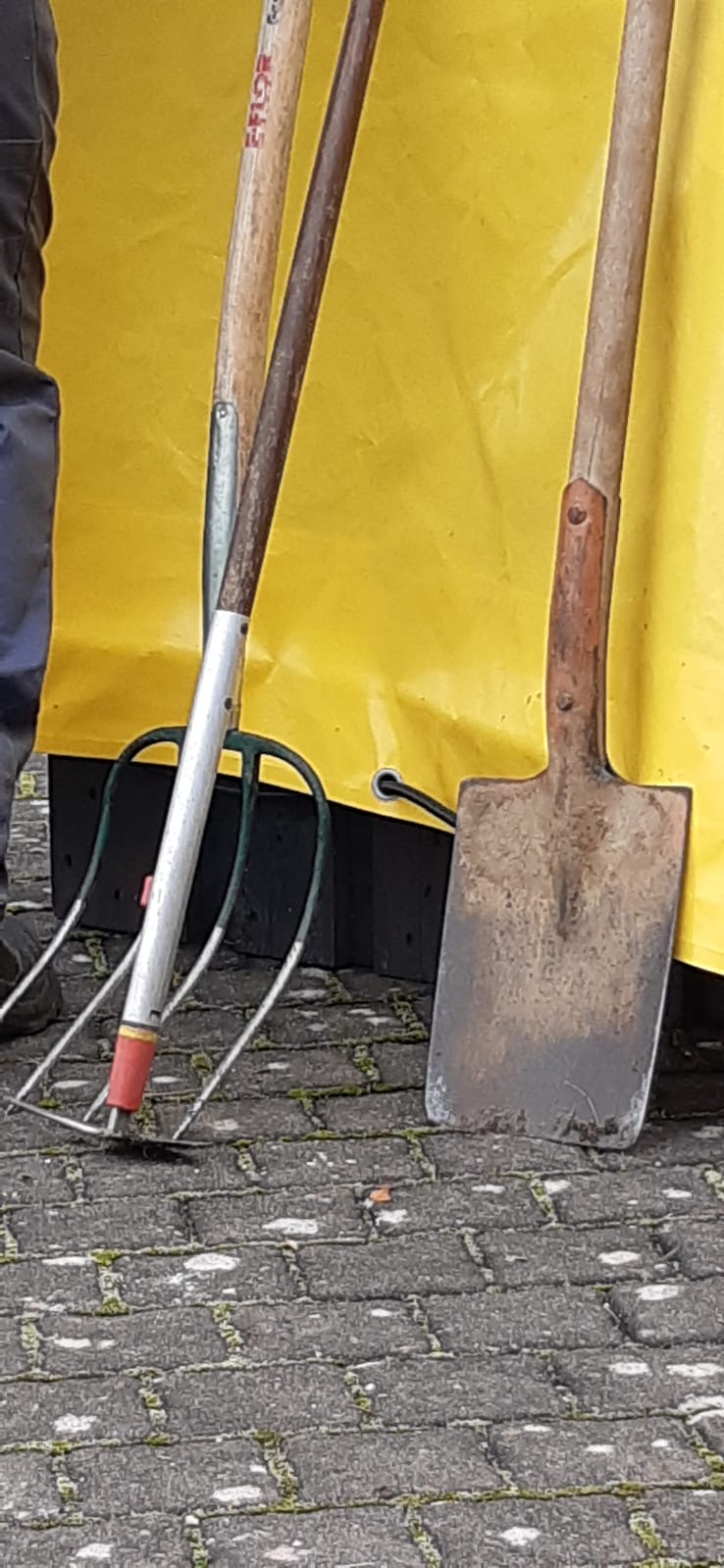 28550ea1-6631-45bd-ace7-ef299ca777b4