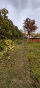 a139ffa7-c3ce-4013-a79c-a82b68dcf394