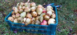 ac00e497-acc7-4e10-973c-1deef384a880