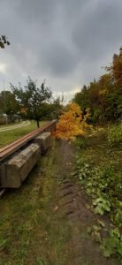 dcb283f6-2812-4446-9349-12a1e127b065